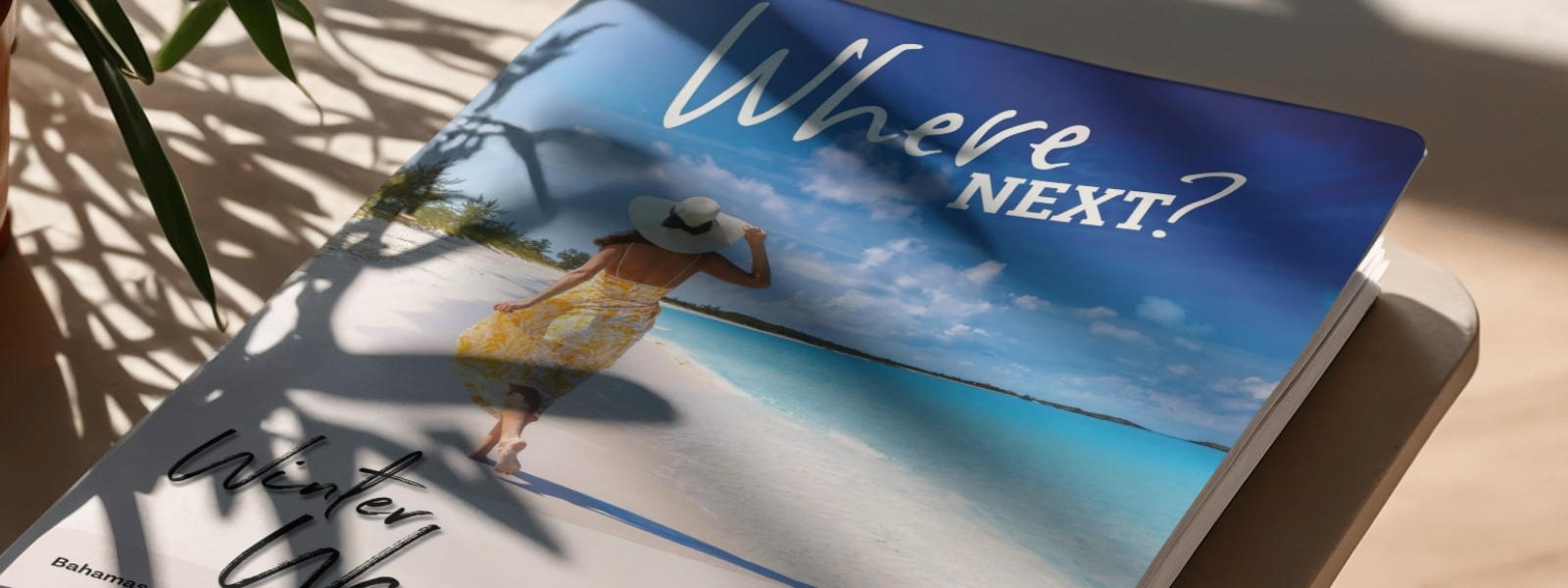 The Travel Network Group